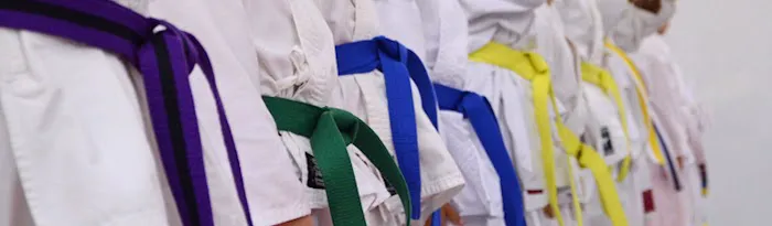 Emerald City Karate Picture 10