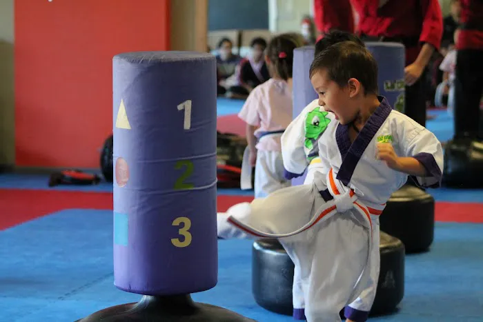 Martial Arts Center Picture 2