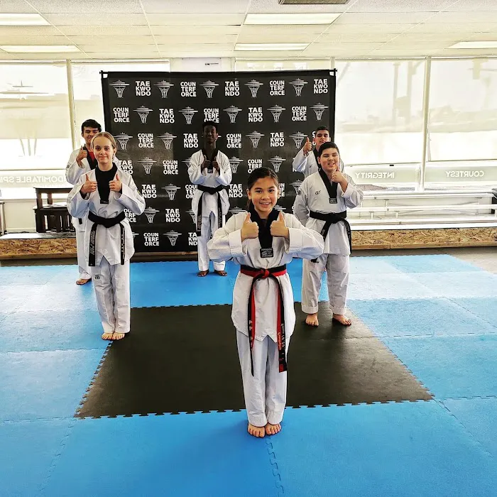 Counterforce Taekwondo Burien Picture 2
