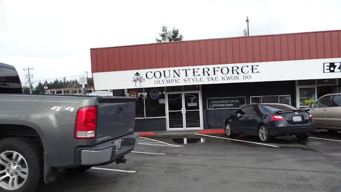 Counterforce Taekwondo Burien Picture 3