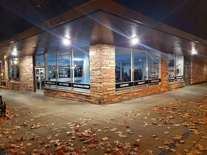 Counterforce Taekwondo Burien Picture 5