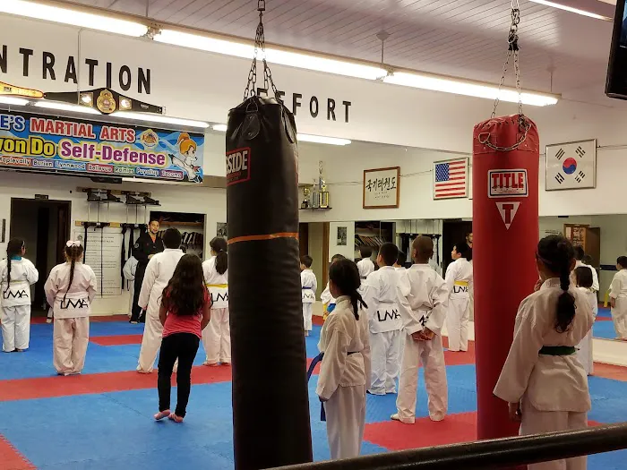 Counterforce Taekwondo Burien Picture 8