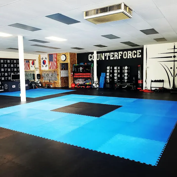 Counterforce Taekwondo Burien Picture 10