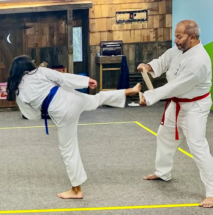 Ken's Family Tae Kwon Do Picture 8