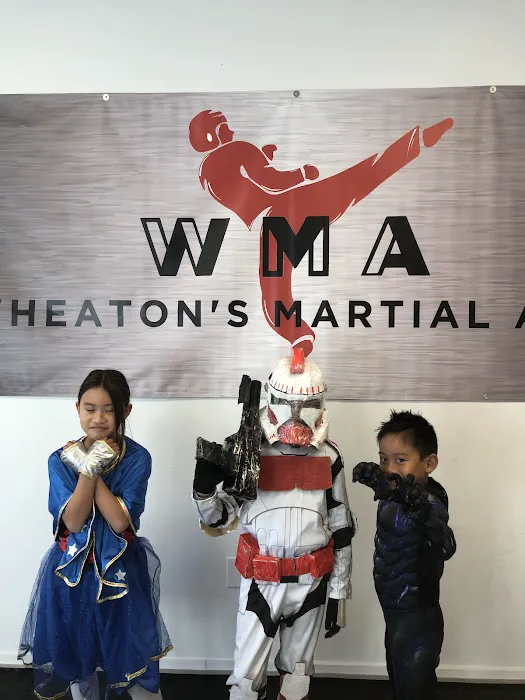 Wheaton's Martial Arts Picture 4