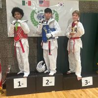 Wheaton's Martial Arts ico