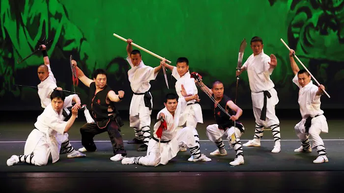 Seattle Shaolin Kungfu Academy Picture 5