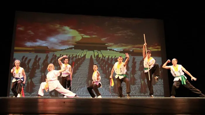 Seattle Shaolin Kungfu Academy Picture 4