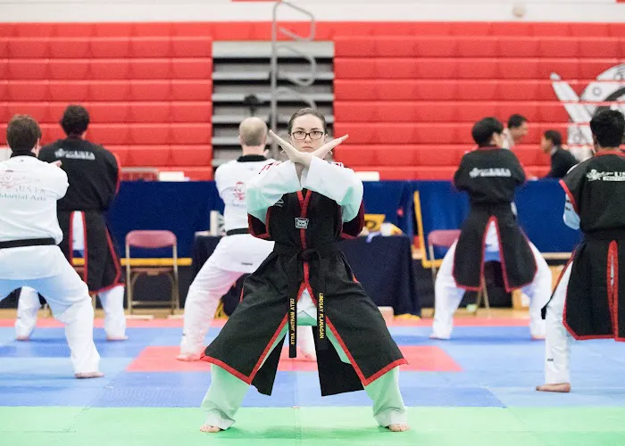 USTA Martial Arts Picture 2