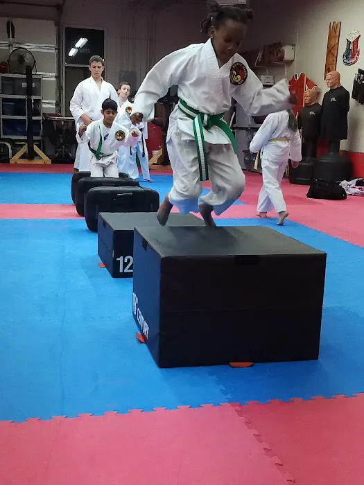 Bellevue Martial Arts Academy LLC Picture 2