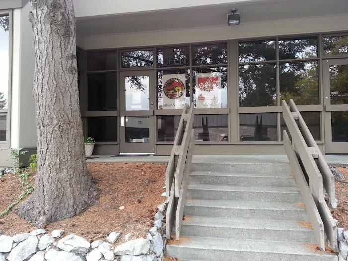 Bellevue Martial Arts Academy LLC Picture 3