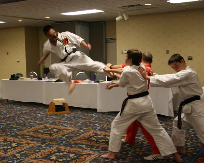 Bellevue Martial Arts Academy LLC Picture 1
