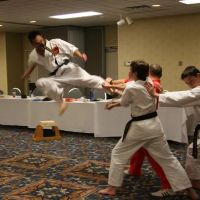 Bellevue Martial Arts Academy LLC ico