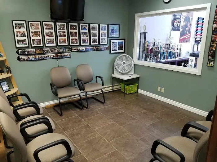 Bellevue Martial Arts Academy LLC Picture 4