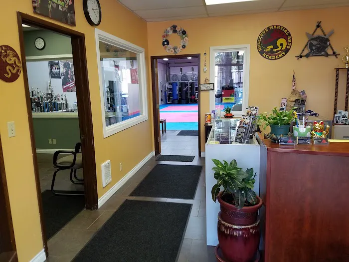 Bellevue Martial Arts Academy LLC Picture 5