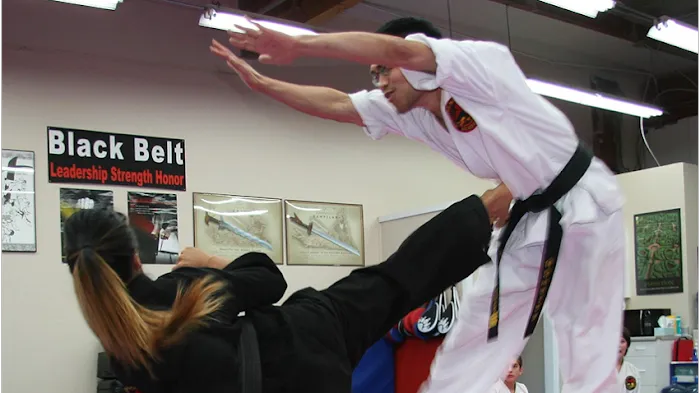 Bellevue Martial Arts Academy LLC Picture 8