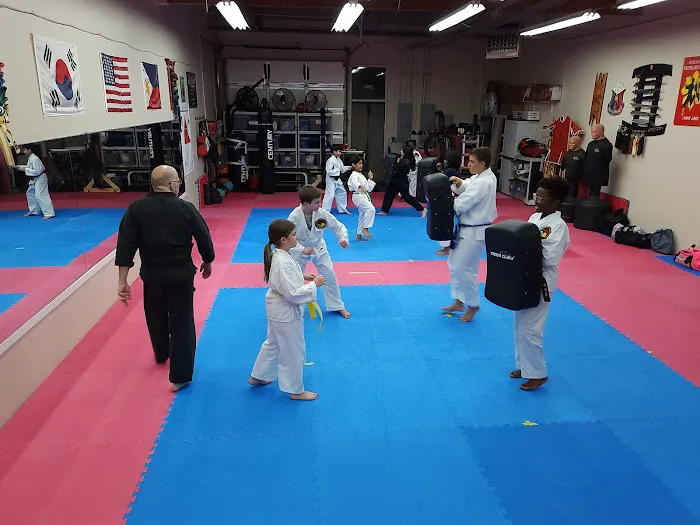 Bellevue Martial Arts Academy LLC Picture 9