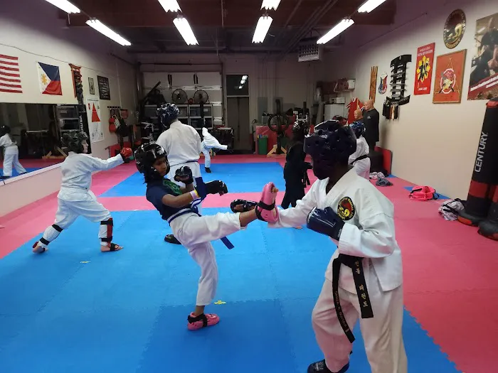 Bellevue Martial Arts Academy LLC Picture 10