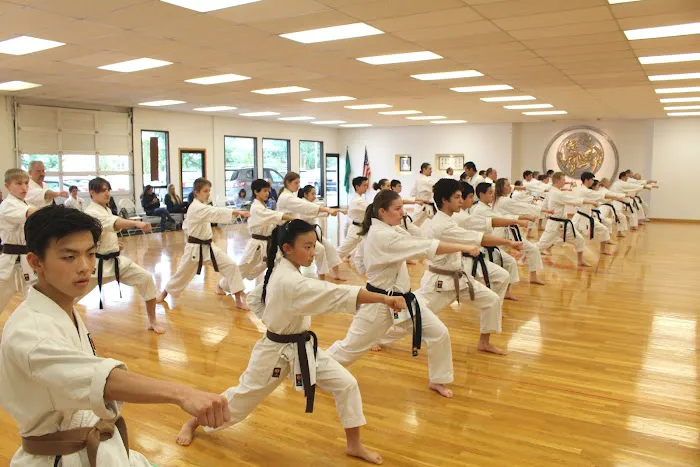 Washington Shotokan Karate Association Picture 1