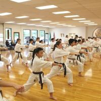 Washington Shotokan Karate Association ico