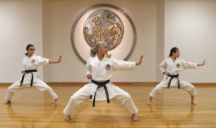 Washington Shotokan Karate Association Picture 2