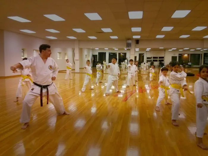 Washington Shotokan Karate Association Picture 4