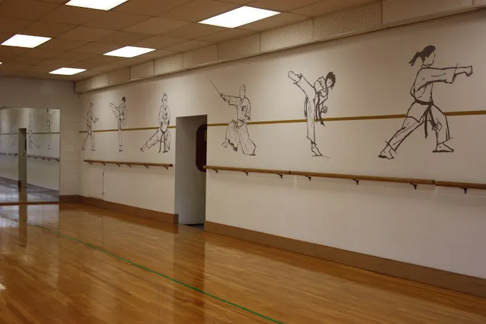 Washington Shotokan Karate Association Picture 10