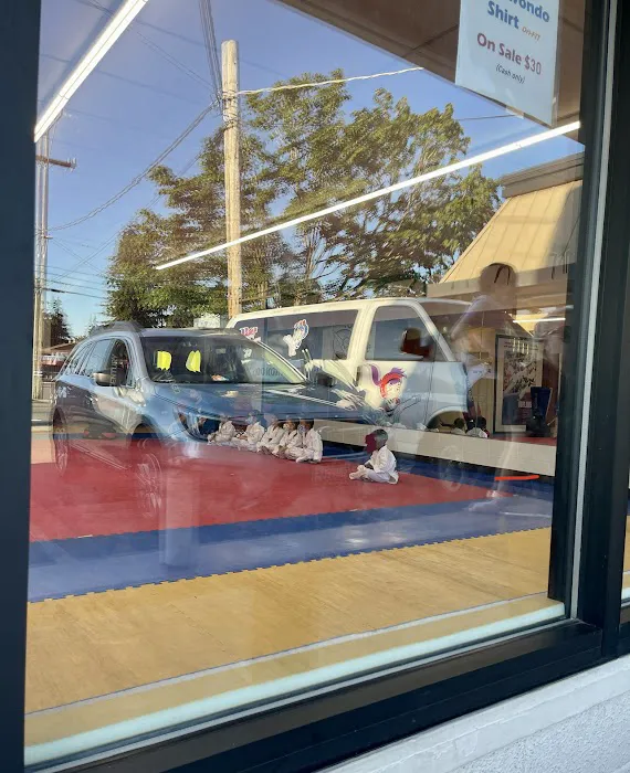 Washington Premier Taekwondo Academy Picture 1