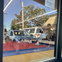 Washington Premier Taekwondo Academy ico