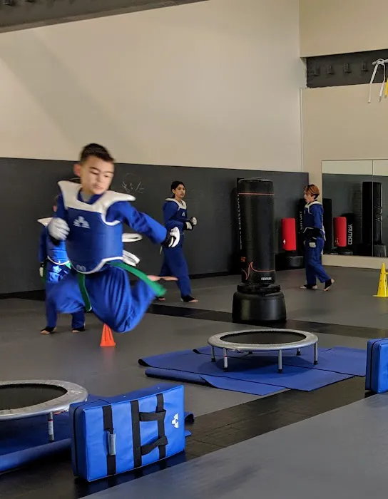 Pacific Fusion Premier Martial Arts Picture 2