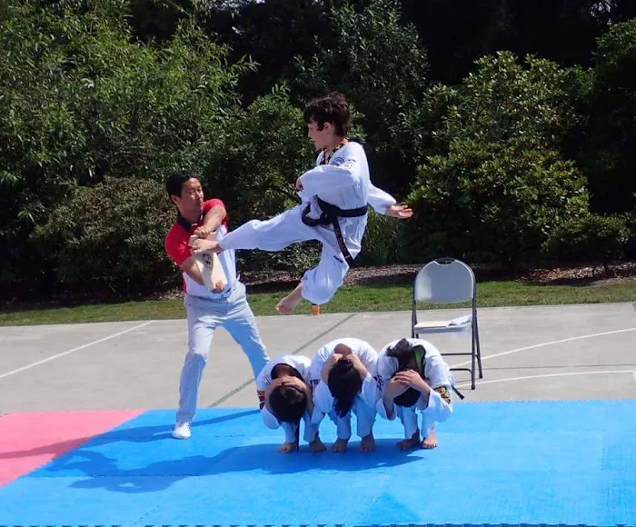 Shin's Taekwondo Academy Picture 2