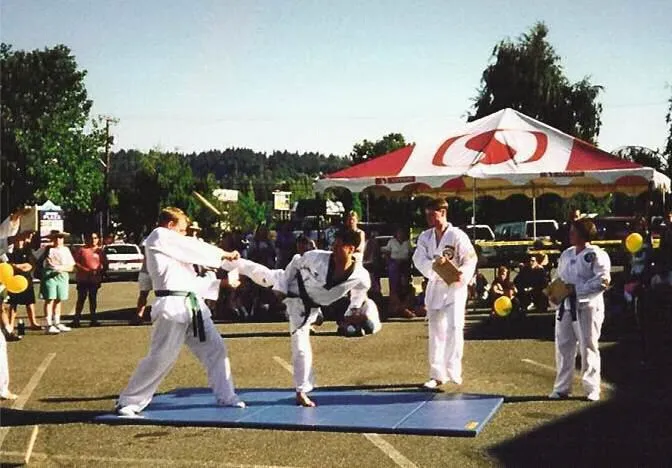 Shin's Taekwondo Academy Picture 3