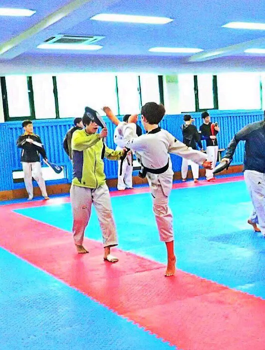 Shin's Taekwondo Academy Picture 4
