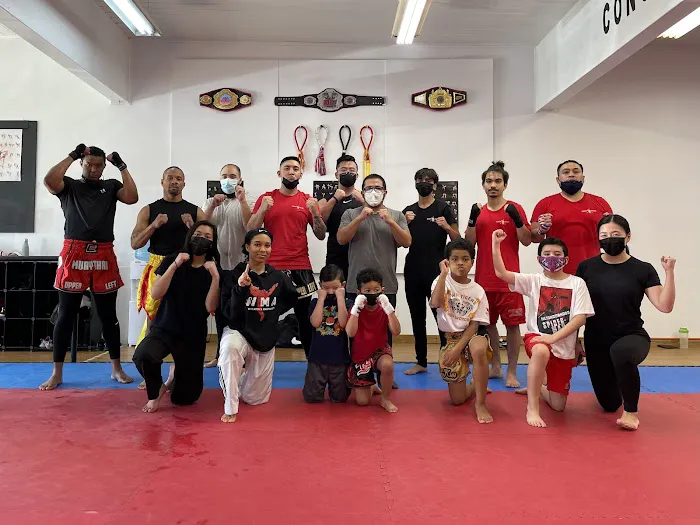 Upper Left Muay Thai Picture 2