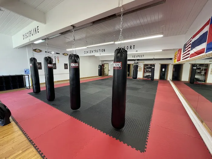 Upper Left Muay Thai Picture 6