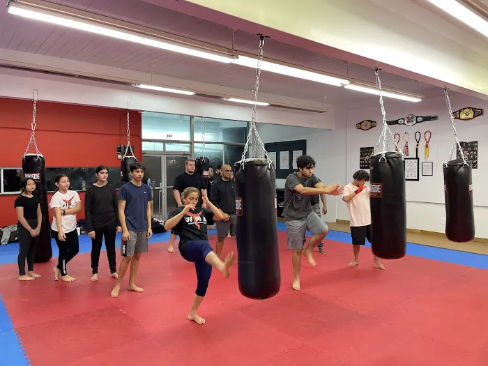 Upper Left Muay Thai Picture 5