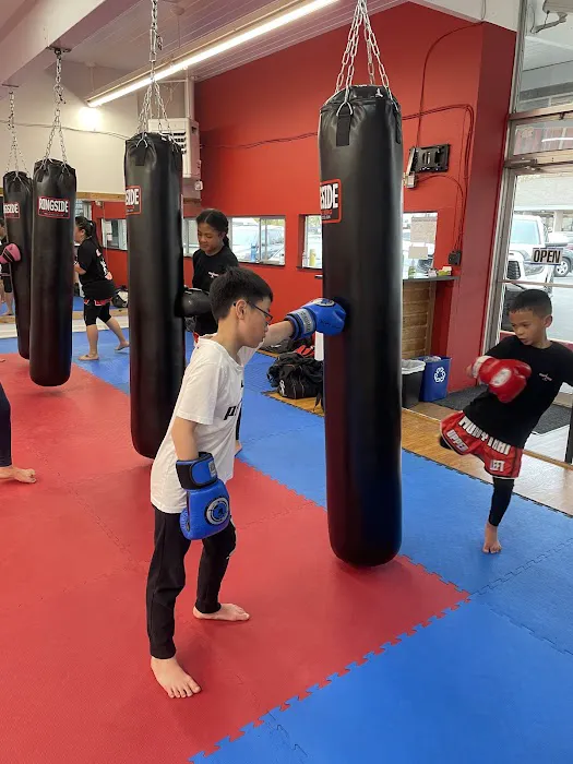 Upper Left Muay Thai Picture 9