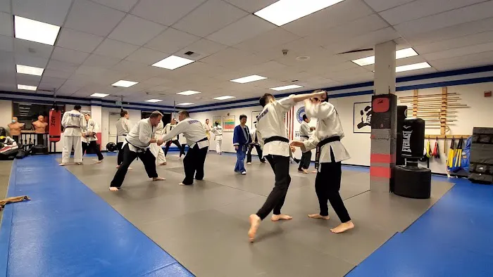 Hapkido Kwon Moo Picture 1