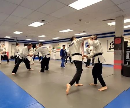 Hapkido Kwon Moo