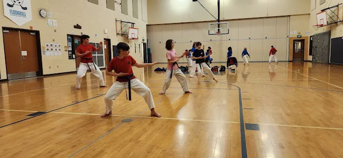 Seattle Taekwondo Academy Picture 1