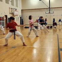 Seattle Taekwondo Academy ico