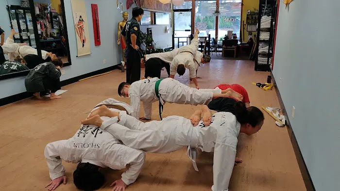 Shaolin Center of Seattle Picture 4