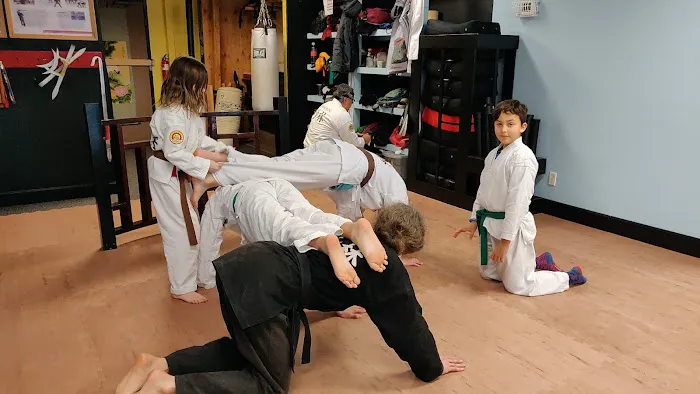 Shaolin Center of Seattle Picture 3