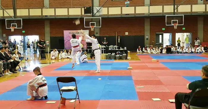 Master Kwon's Tiger Kicks Martial Arts Picture 3