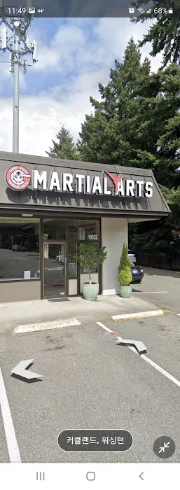 Master Kwon's Tiger Kicks Martial Arts Picture 4