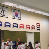 Master Kwon's Tiger Kicks Martial Arts ico