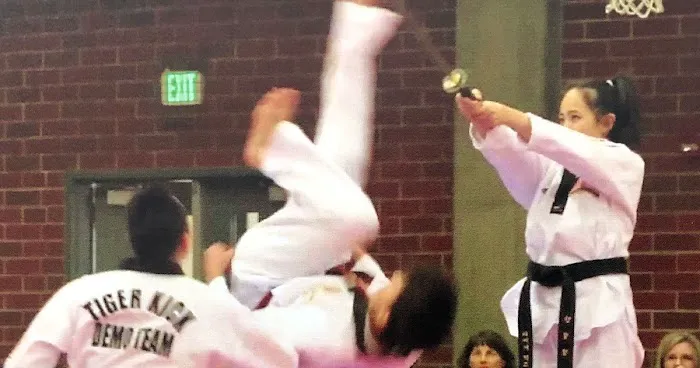 Master Kwon's Tiger Kicks Martial Arts Picture 8