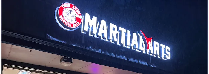 Master Kwon's Tiger Kicks Martial Arts Picture 9