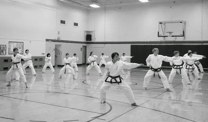 Bailey's Traditional Taekwon Do College Picture 4