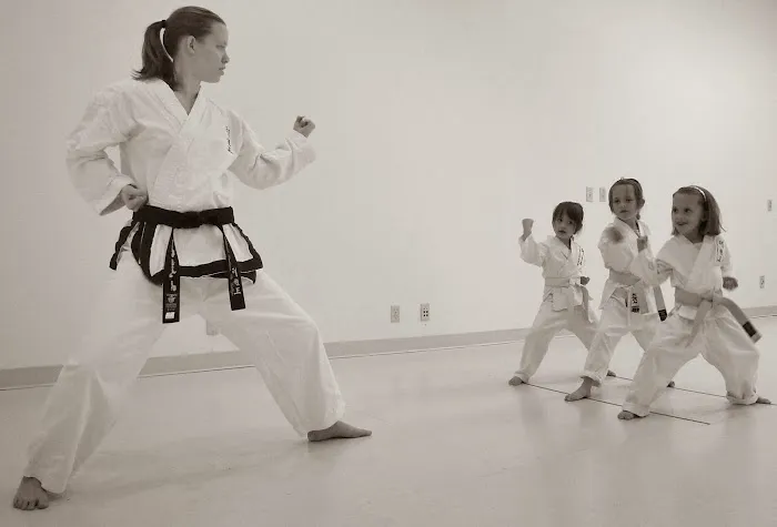 Bailey's Traditional Taekwon Do College Picture 1